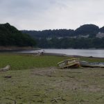 津久井湖湖畔大減水