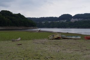 津久井湖湖畔大減水