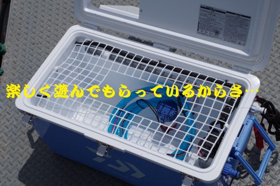 ガレイジー製ライブウェル】この秋…10年ぶりにライブウェルを新調しま 