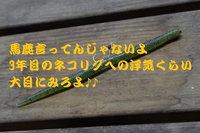 ネコリグしてますか 3年目のネコリグ論 ナマローブログneo