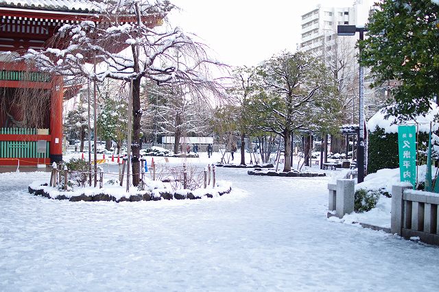 東京浅草浅草寺雷門雪景色大雪模様